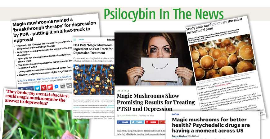 Psilocybin In The News