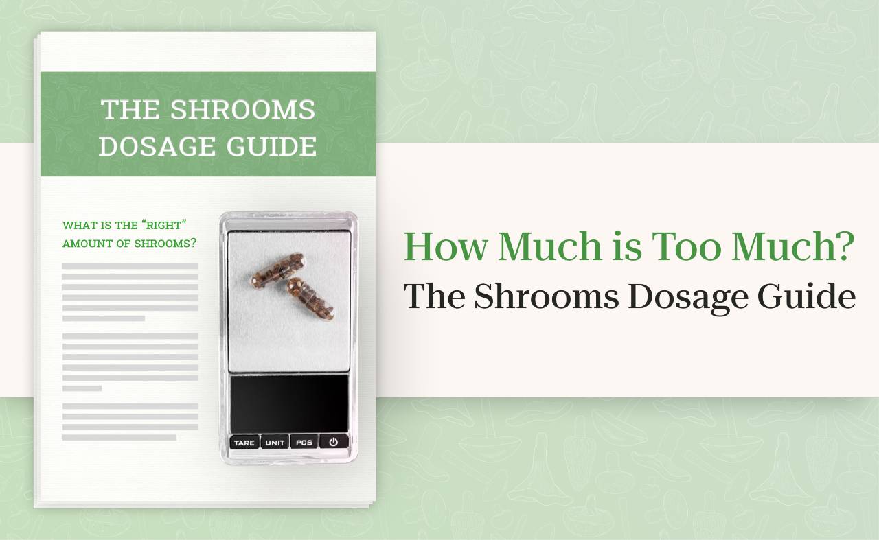 How Much is Too Much The Shrooms Dosage Guide