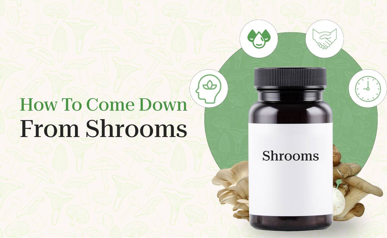 How To Come Down From Shrooms
